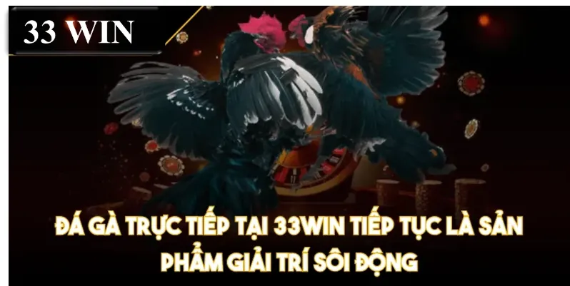 Đá gà trực tiếp tại 33WIN tiếp tục là sản phẩm giải trí sôi động
