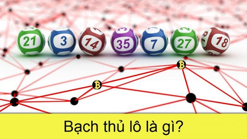 Bạch thủ lô là gì? Bạch thủ lô là gì?