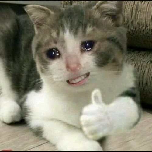 Con Mèo Khóc Like