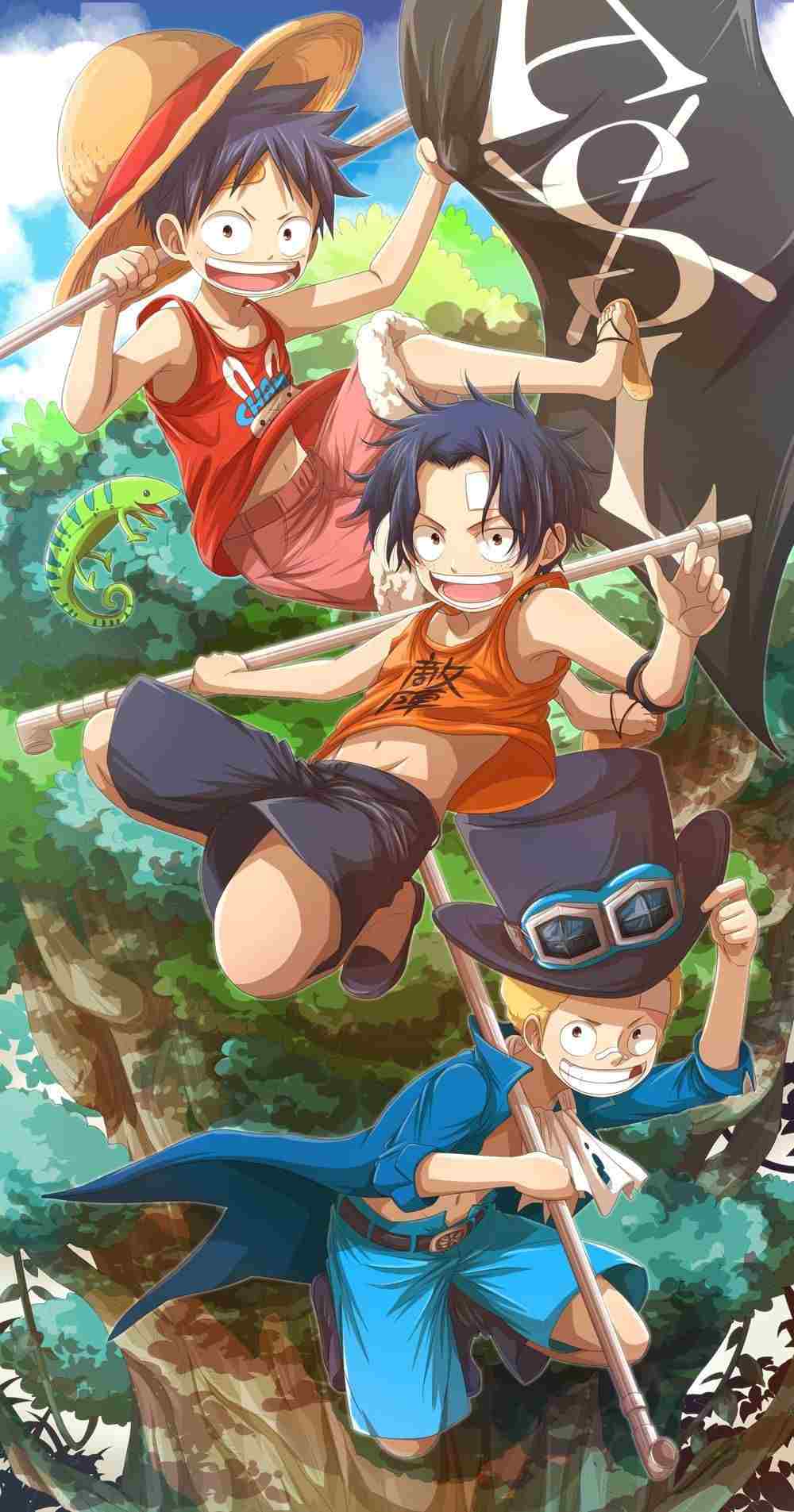 Hinh ve 3 anh em Luffy cute