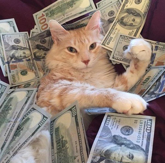 Meo Om Tien Chat