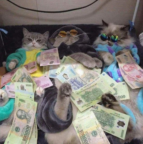 Meo Om Tien