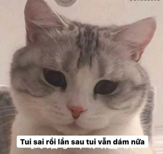 Tui sai rồi