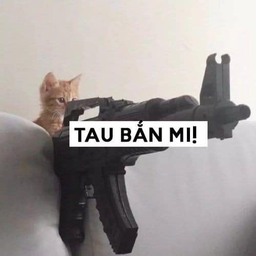 Ảnh mèo Meme Free Fire vui