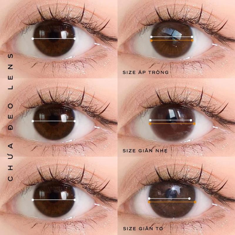 ACROS Brand Contact Lenses