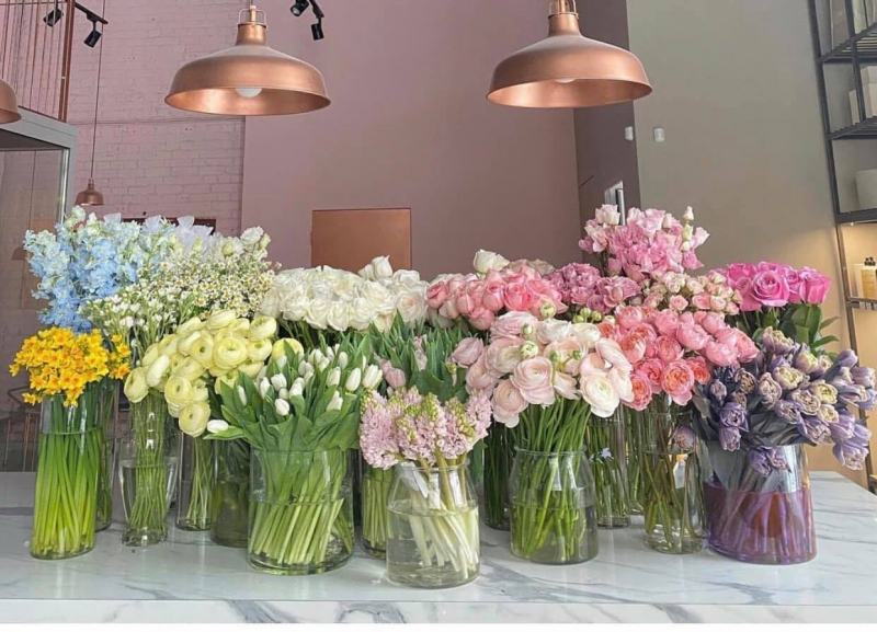 Alice Garden Flower