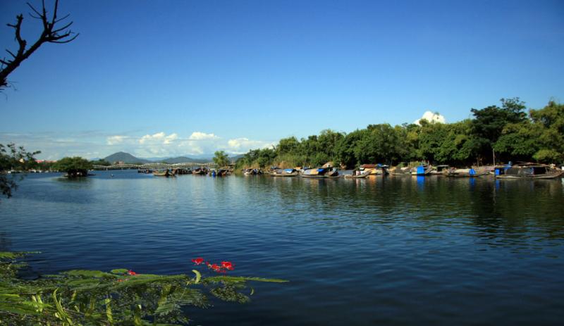Bài tham khảo số 6