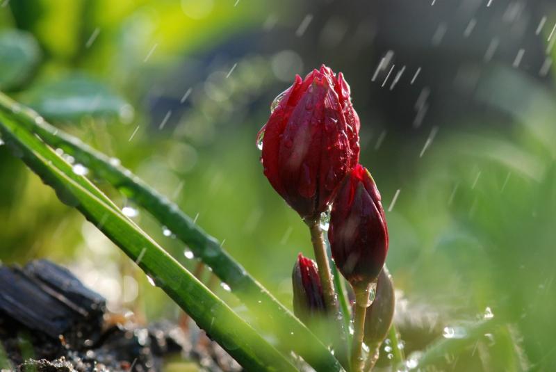 Tình yêu