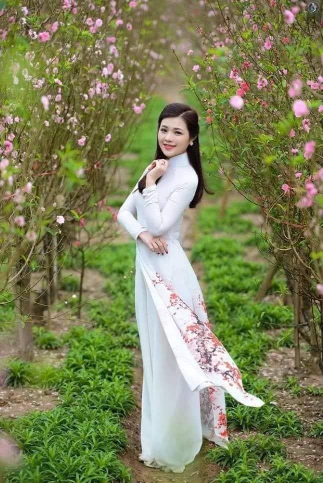 Ảnh minh họa