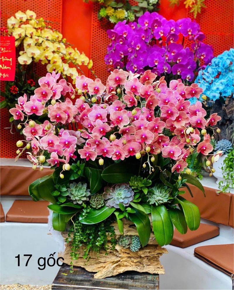 Bao Anh Flowers & Fruits