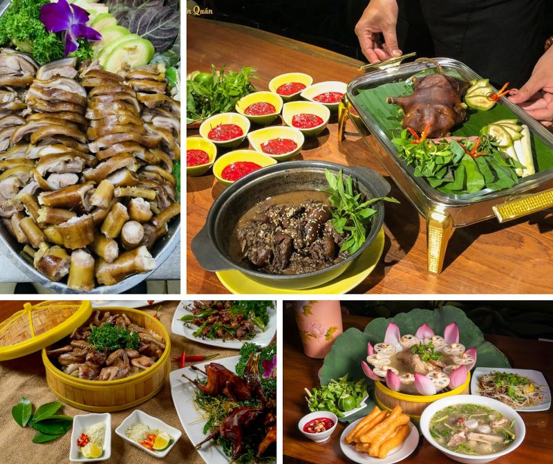 Cầm Viên Quán - Nhà Hàng Ngon Nên Thử Tại Cầu Giấy