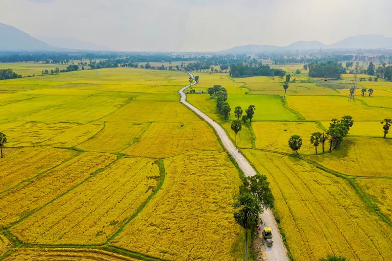Tháng 5