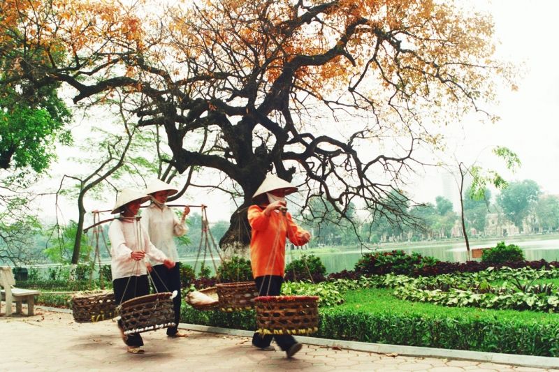 Những cô bán cốm trên phố phường Hà Nội