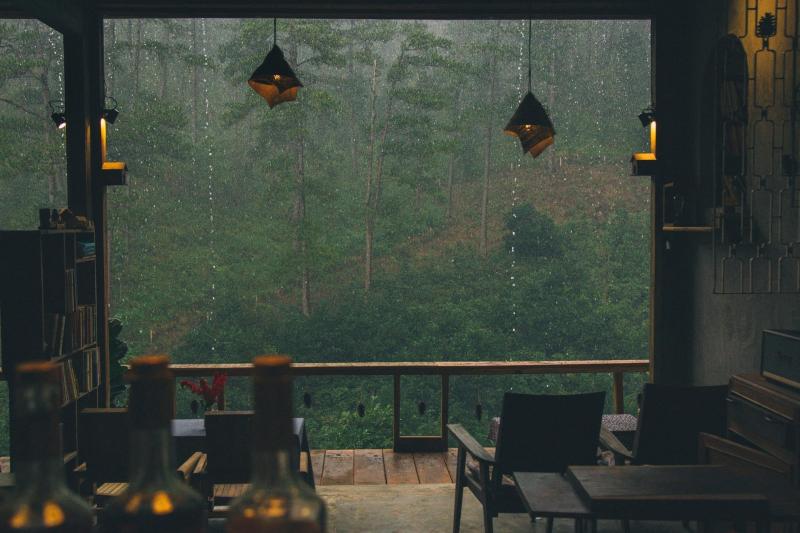 Cơn mưa Đà Lạt
