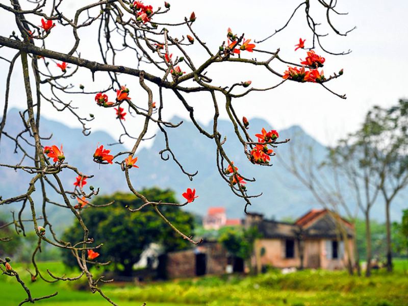 Nỗi nhớ tháng ba