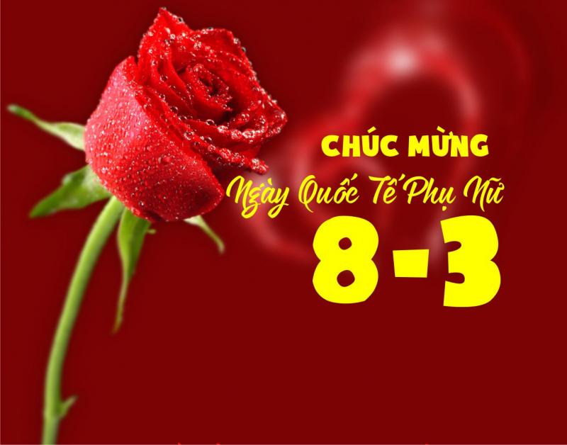 Chuẩn bị một món quà bất  ngờ