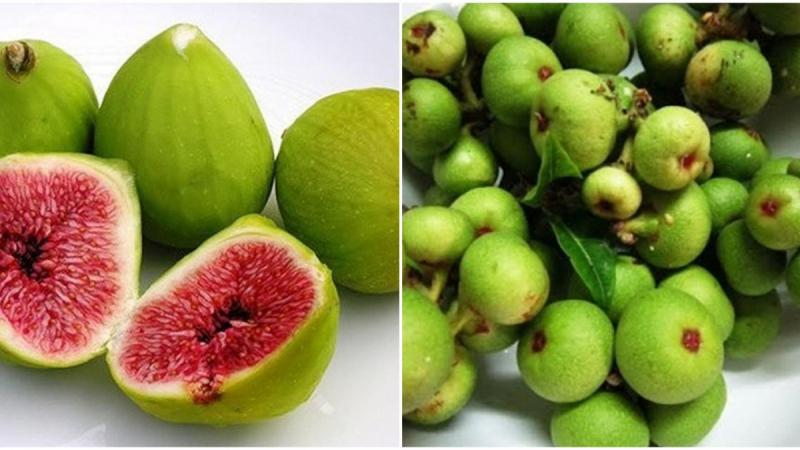 Ngừa loãng xương
