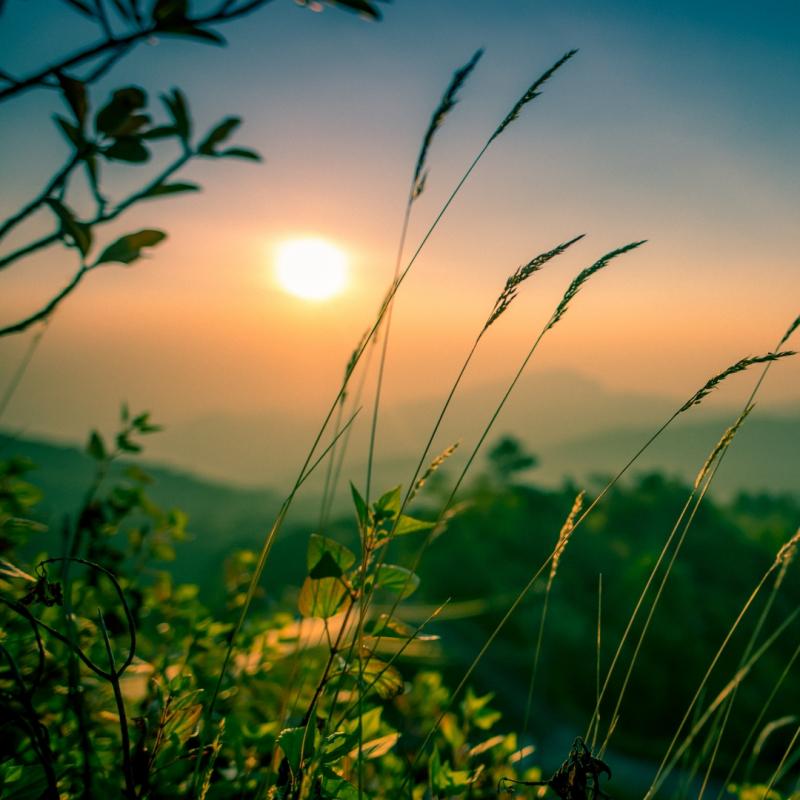 Tình người tri kỷ