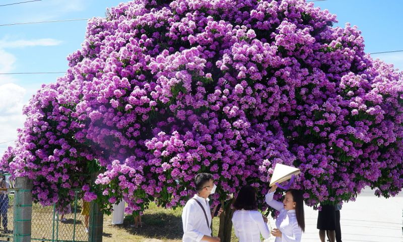 Tháng tư về