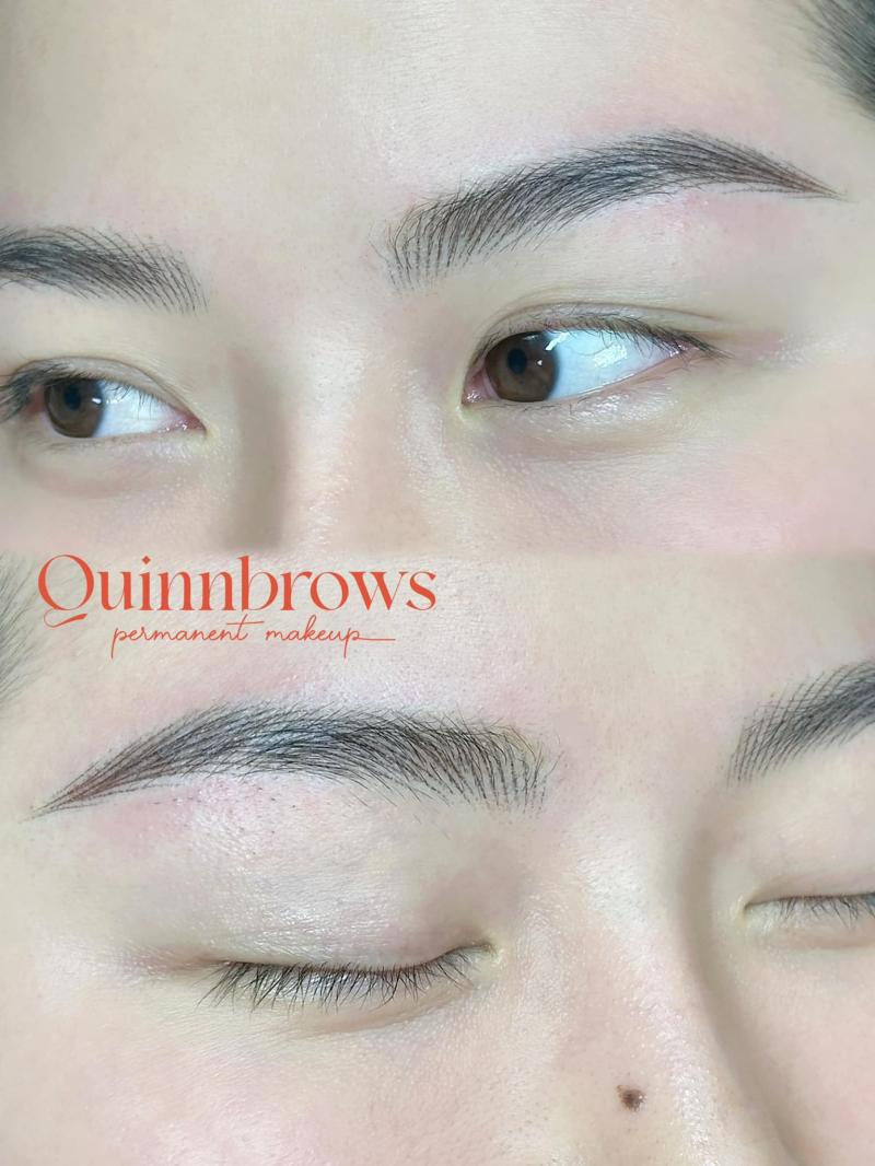 Quinnbrows