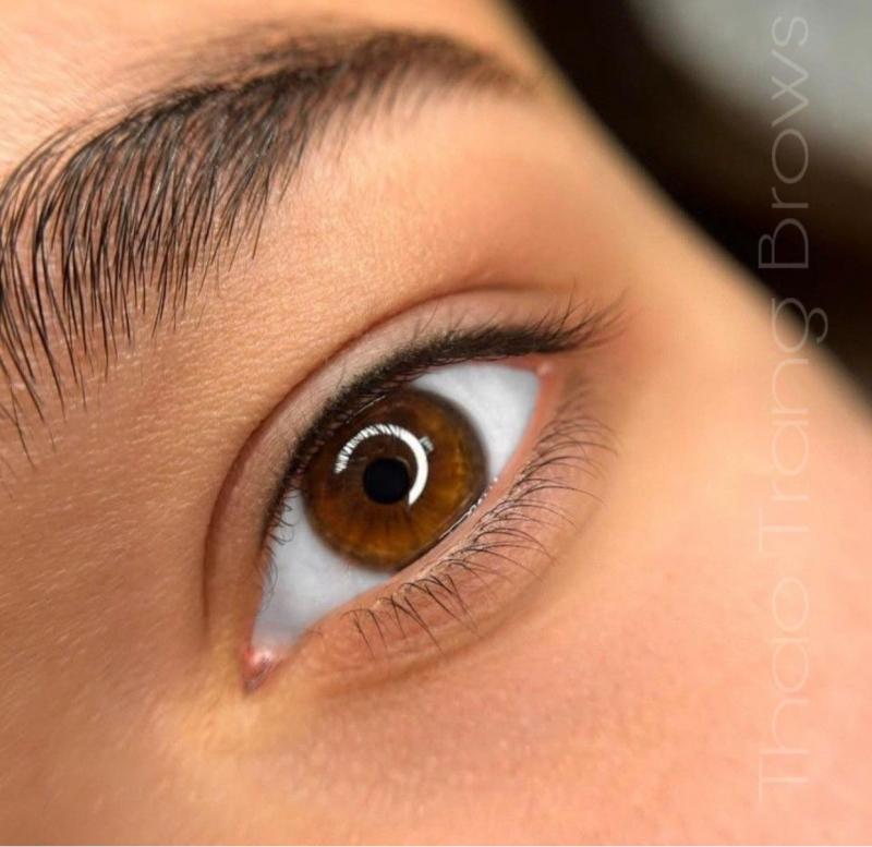 Thảo Trang Brows