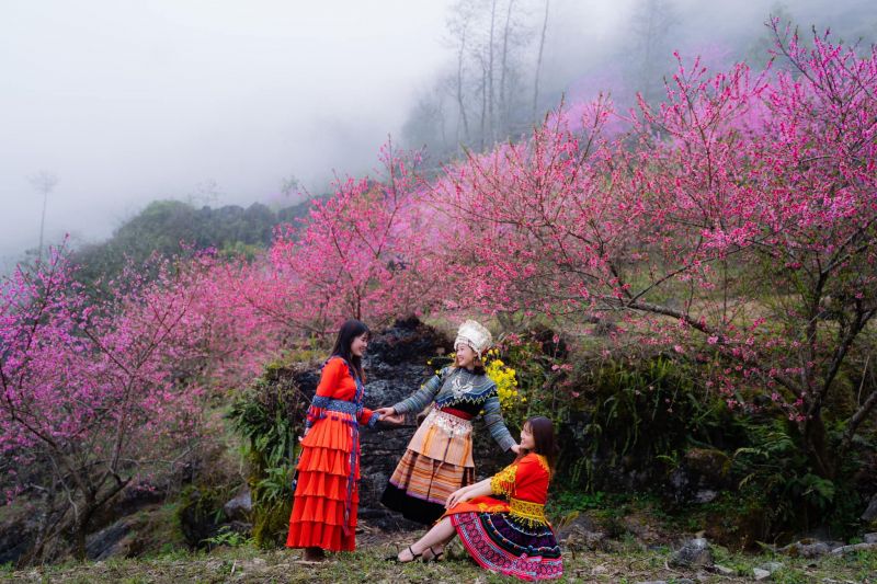 Chương trình khuyến mãi Đất Việt Tour