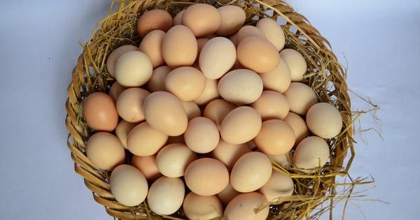 Trứng còn được biết đến với công dụng giúp tóc nhanh mọc hơn. ﻿